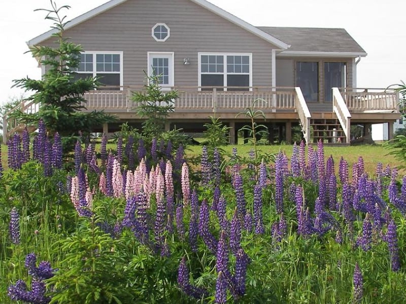 Bowater Beach House